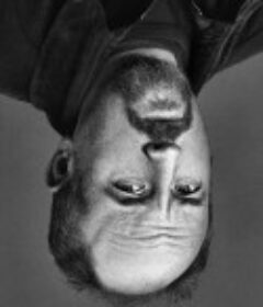 路易不容易 第五季 Louie Season 5            (2015)