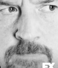 路易不容易 第四季 Louie Season 4            (2014)