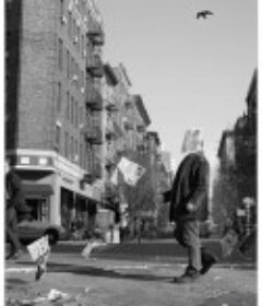 路易不容易 第三季 Louie Season 3            (2012)