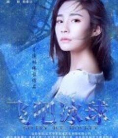 飞吧冰球            (2019)