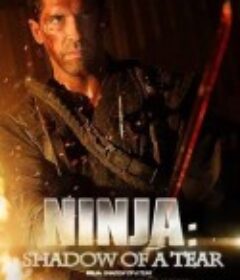 忍者2：撕裂的暗影 Ninja: Shadow Of A Tear            (2013)