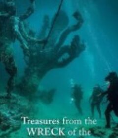 碧海寻宝记 Treasures from the Wreck of the Unbelievable            (2018)