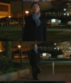 孤独的美食家 2019除夕特别篇 孤独のグルメ 2019大晦日スペシャル            (2019)