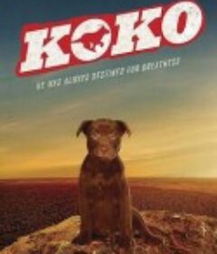 Koko:红犬历险记 Koko: A Red Dog Story            (2019)