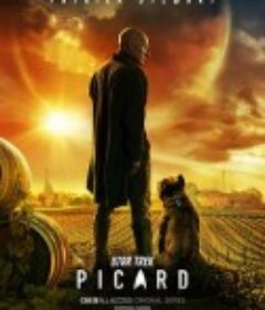 星际迷航：皮卡德 第一季 Star Trek: Picard Season 1            (2020)