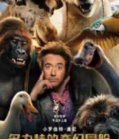 多力特的奇幻冒险 Dolittle            (2020)
