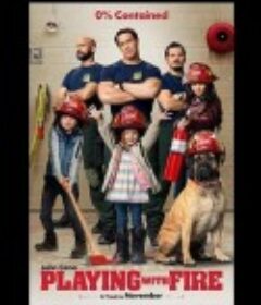 救火奶爸 Playing with Fire            (2019)