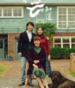 只有芸知道            (2019)