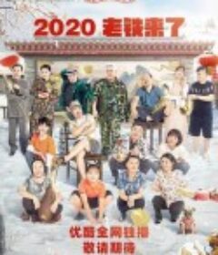 乡村爱情12            (2020)