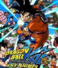 龙珠·改 ドラゴンボール改            (2009)