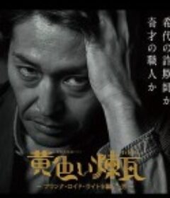黄砖～骗过弗兰克·劳埃德·赖特的男人～ 黄色い煉瓦～フランク・ロイド・ライトを騙した男～            (2019)