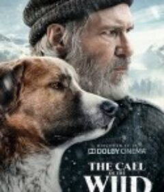 野性的呼唤 The Call of the Wild            (2020)