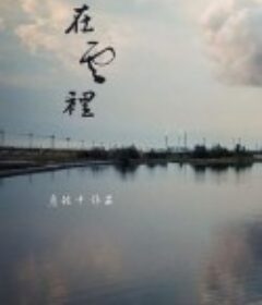 在云里 在雲裡            (2017)