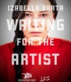 纪录进行时 第三季 Documentary Now! Season 3            (2019)