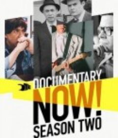 纪录进行时 第二季 Documentary Now! Season 2            (2016)