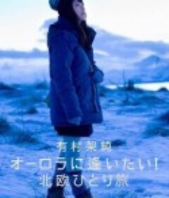 有村架纯 想看到极光! 北欧一人之旅 有村架純 オーロラに逢いたい! 北欧ひとり旅            (2014)