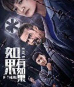 如果有如果            (2020)