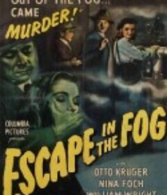 逃入迷雾 Escape in the Fog            (1945)