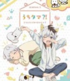 家有圆圆？！我家的圆圆你知道吗？ うちタマ?! ～うちのタマ知りませんか？～            (2020)