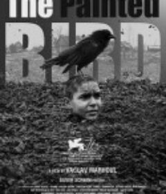 被涂污的鸟 Nabarvené ptáče            (2019)