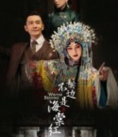 鬓边不是海棠红            (2020)