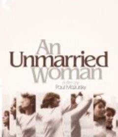 不结婚的女人 An Unmarried Woman            (1978)