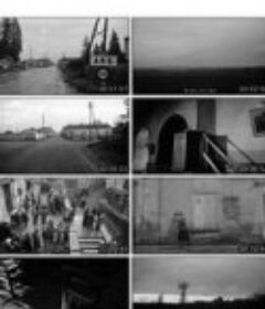 啊斯 Ars            (1959)