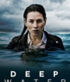 深水迷案 Deep Water            (2016)