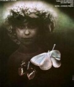 爱情记事 Kronika wypadków milosnych            (1986)