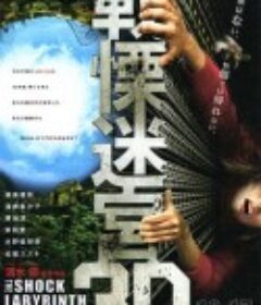 战栗迷宫3D 戦慄迷宮3D            (2009)