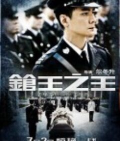 枪王之王            (2010)