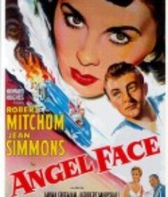 魂断今宵 Angel Face            (1953)