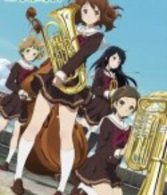 吹响悠风号 響け！ユーフォニアム            (2015)