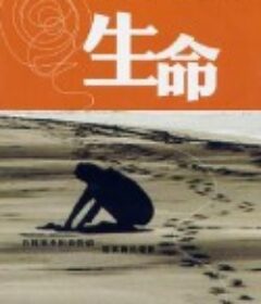 生命            (2004)