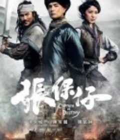 张保仔 張保仔            (2015)