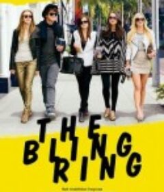 珠光宝气 The Bling Ring            (2013)
