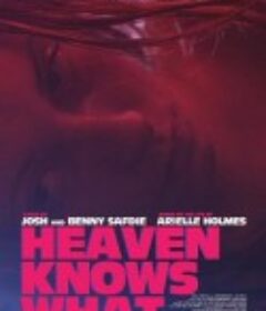 天知道 Heaven Knows What            (2014)
