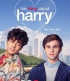 关于哈利的那些事 The Thing About Harry            (2020)
