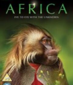 非洲 Africa            (2013)