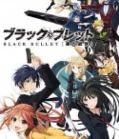 漆黑的子弹 ブラック・ブレット            (2014)