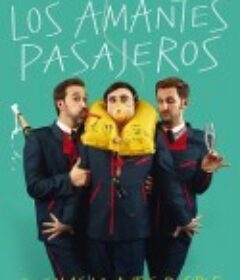 空乘情人 Los amantes pasajeros            (2013)