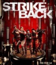 反击 第八季 Strike Back Season 8            (2020)