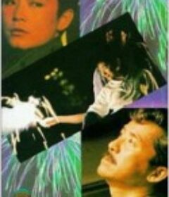 今夜星光灿烂 今夜星光燦爛            (1988)