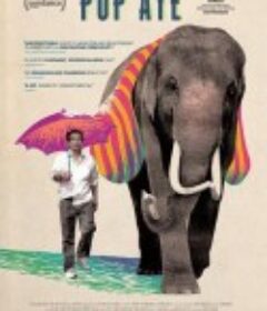 大笨象 Pop Aye            (2017)