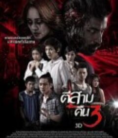 鬼三惊2 ตีสาม คืนสาม 3D            (2014)