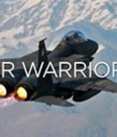 战机：空中勇士 Air Warriors            (2014)