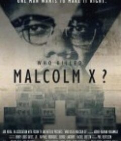 谁杀死了马尔科姆 X 第一季 Who kill Malcolm X Season 1            (2020)