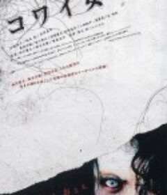 鬼女魔咒 コワイ女            (2006)