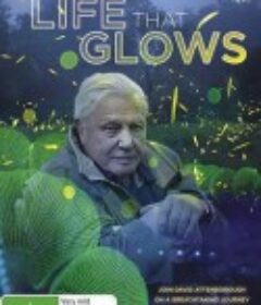 爱登堡讲述生命之光 Attenborough's Life That Glows            (2016)