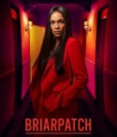 荆棘丛 Briarpatch            (2020)